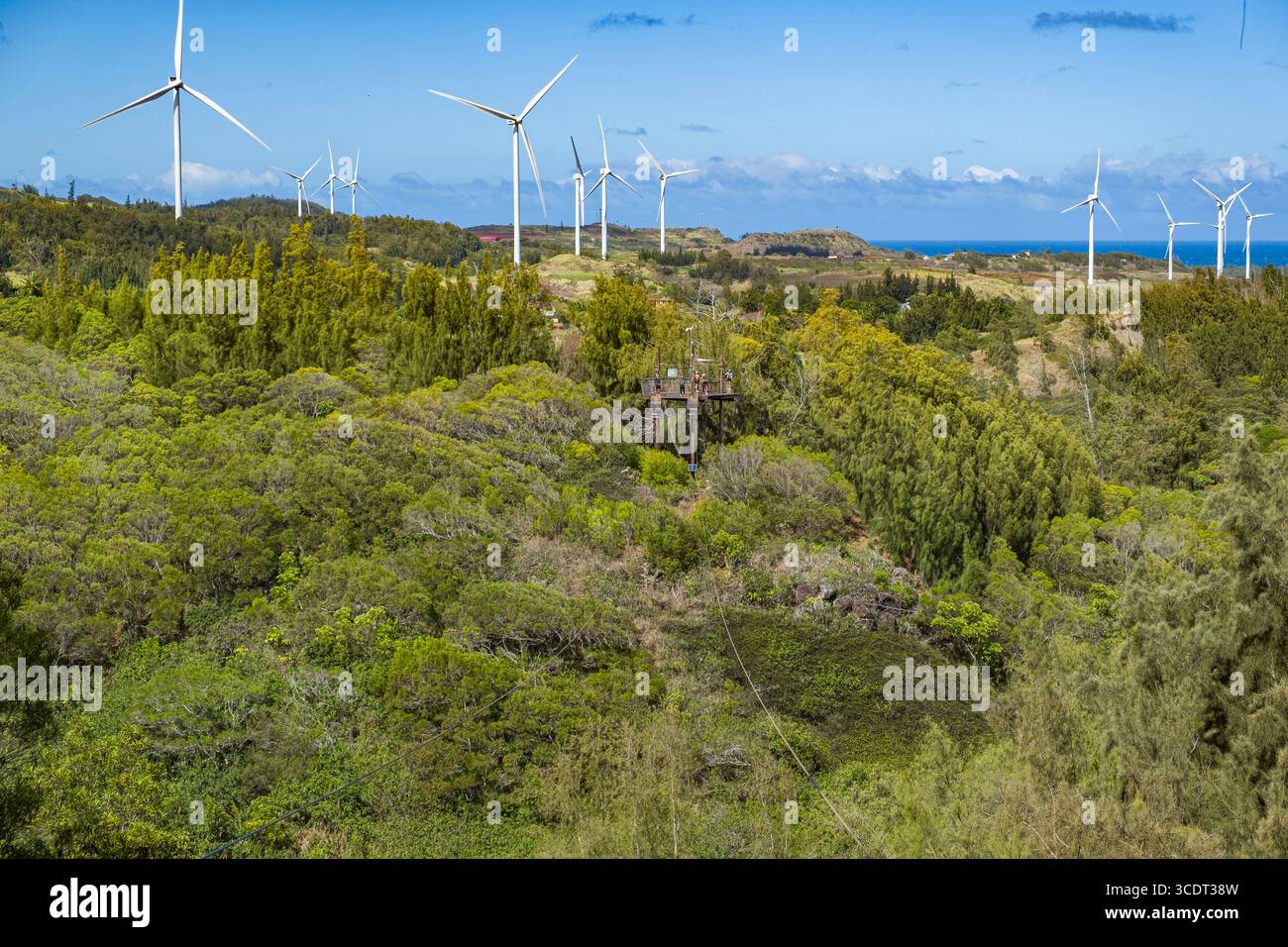 Cavo aereo sospeso sopra la valle presso CLIMB Works Keana Farms; Kahuku, Koolauloa, Honolulu, Oahu, Hawaii, Stati Uniti Foto Stock