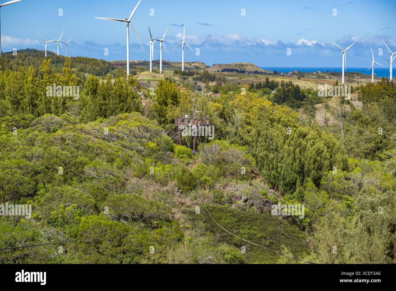 Cavo aereo sospeso sopra la valle presso CLIMB Works Keana Farms; Kahuku, Koolauloa, Honolulu, Oahu, Hawaii, Stati Uniti Foto Stock