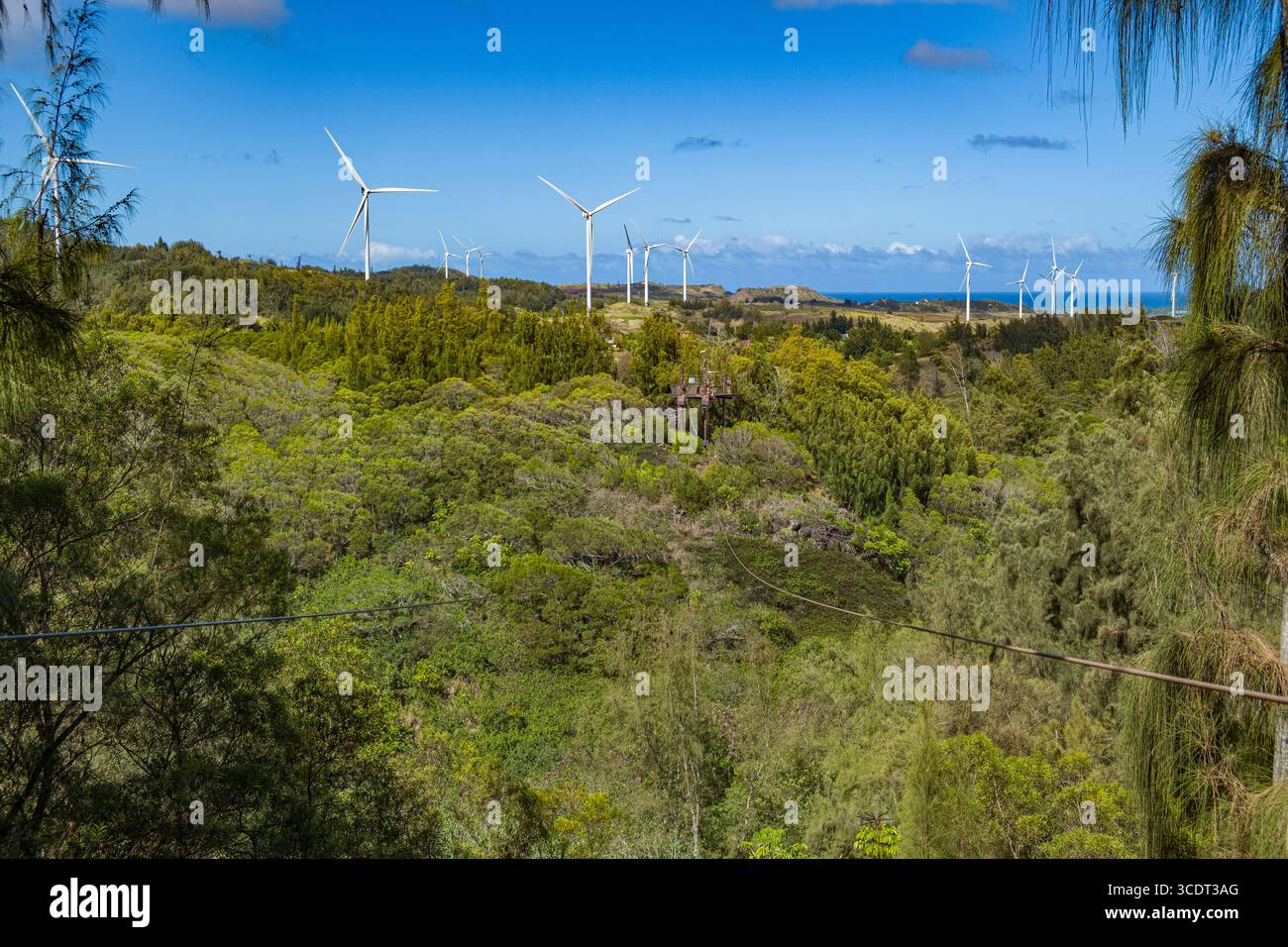 Cavo aereo sospeso sopra la valle presso CLIMB Works Keana Farms; Kahuku, Koolauloa, Honolulu, Oahu, Hawaii, Stati Uniti Foto Stock