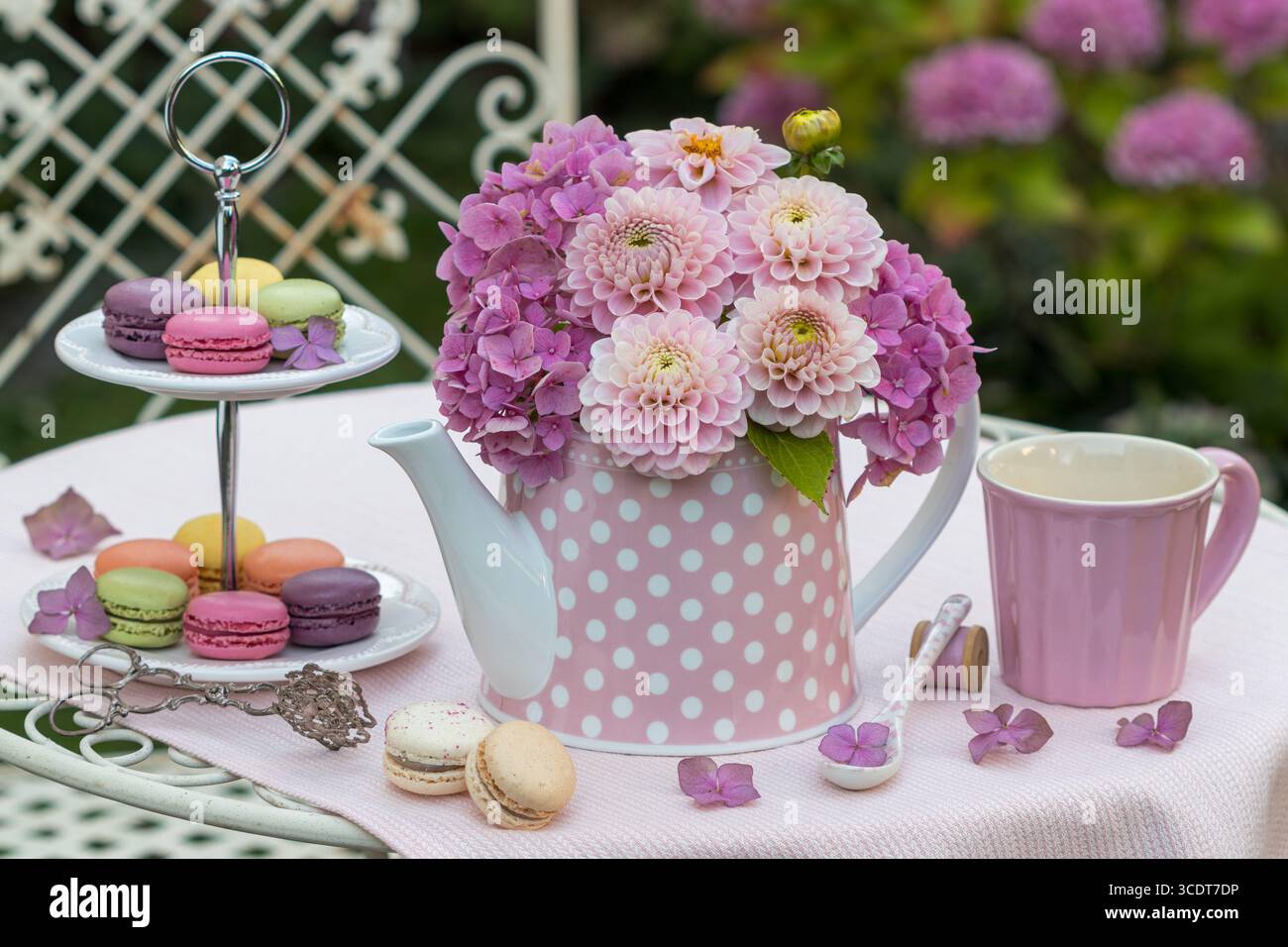 disposizione dei tavoli con bouquet di dalie rosa e ortensie in fiore e macaroon su un banco per torte Foto Stock