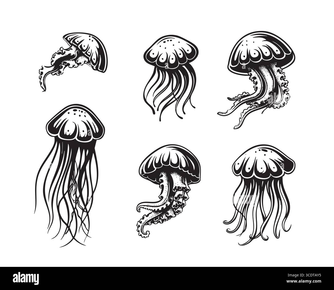Icona cartoni animati vettore meduse. Icona isolata del set di cartoni animati medusa. Illustrazione vettoriale medusa su sfondo bianco . Illustrazione Vettoriale