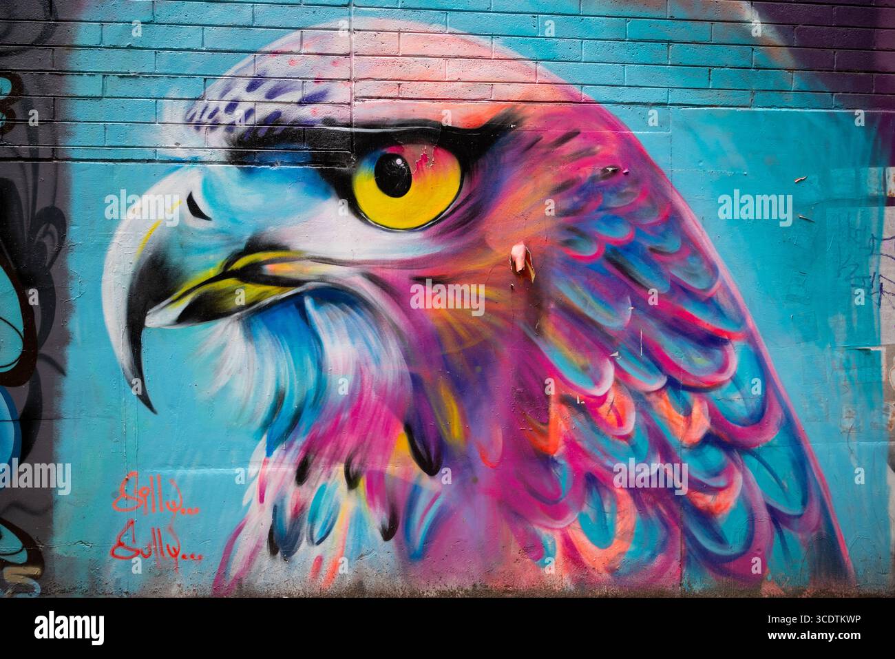 Chromatic Falcon di Silly Sully a Higson Lane, Melbourne, Australia Foto Stock