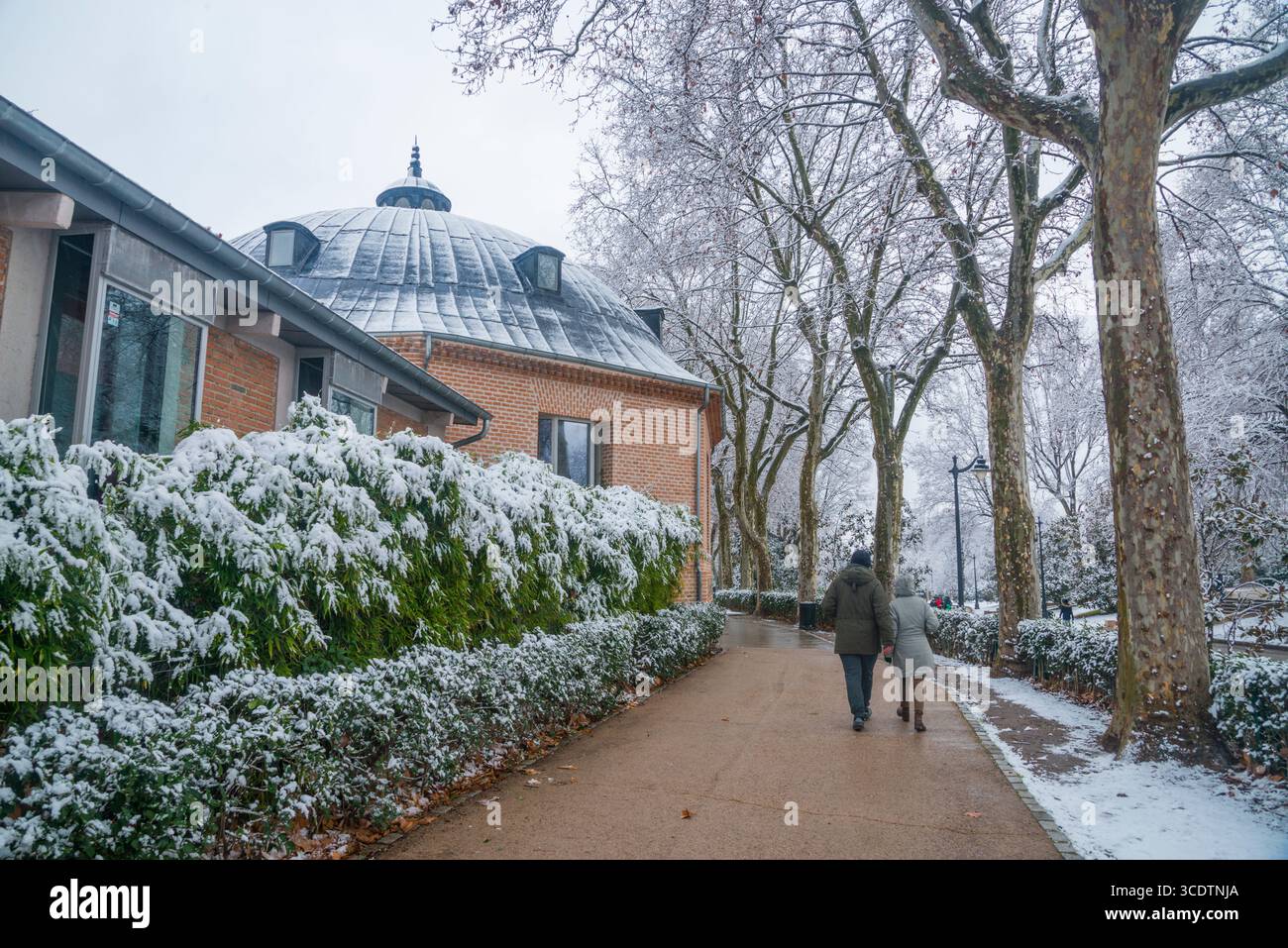 Coperta di neve il parco del Retiro. Madrid, Spagna. Foto Stock