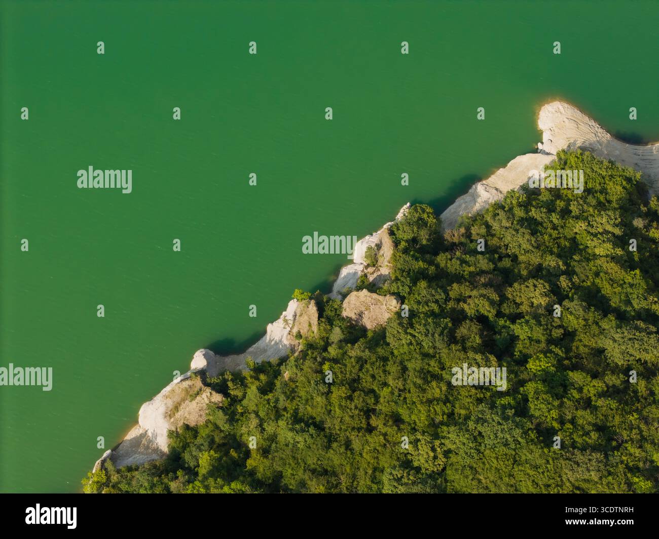 Vista aerea della costa del lago artificiale Algeti, dove l'acqua verde e vibrante incontrano la fitta foresta, creando un contrasto sorprendente, Tbisi, Georgia. Foto Stock
