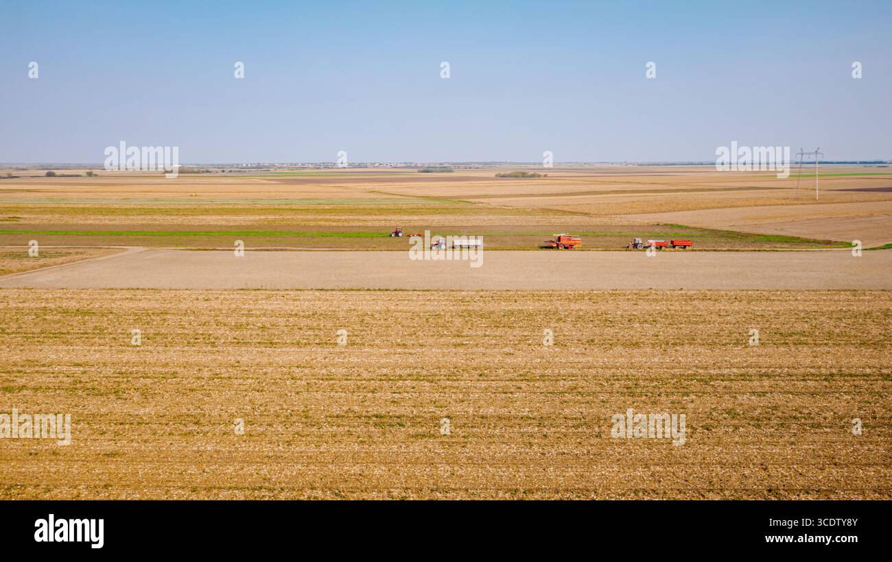Sopra la visuale, la trebbiatrice mentre passa tra i campi agricoli su un sentiero rurale, viaggia su una strada polverosa. Due trattori con rimorchi vengono azionati sullo stesso modo Foto Stock