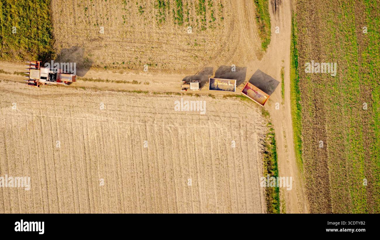 Vista dall'alto, mietitrebbia sopraelevata, macchina da raccolta che si sposta tra campi agricoli su percorsi rurali, percorrendo strade polverose. Trattore wi Foto Stock