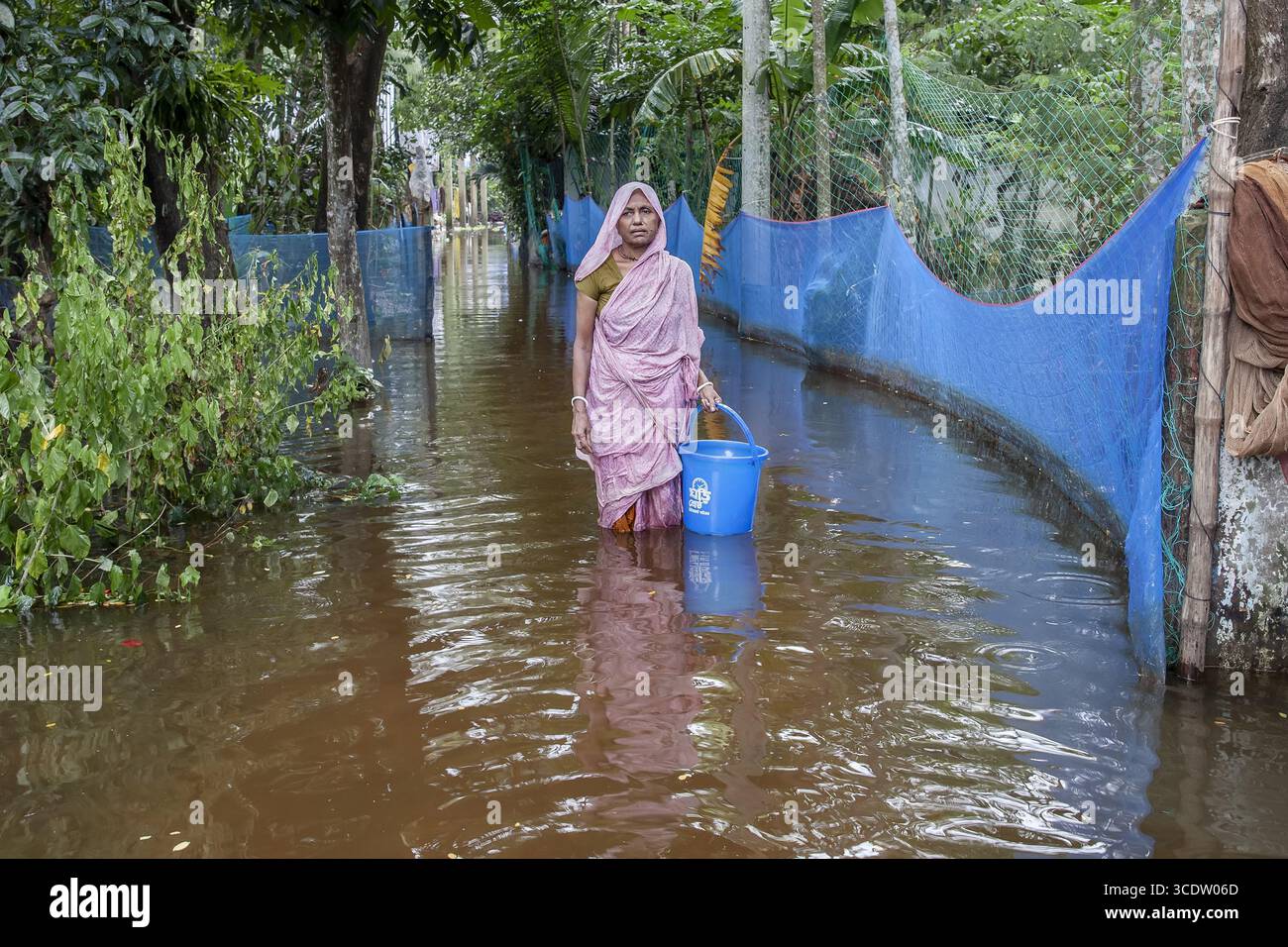 Noakhali, Bangladesh - 2 settembre 2024: Veduta di una donna che si tuffa attraverso le acque alluvionali, il suo sari rosa che si riflette nelle profondità torbide mentre trasporta un secchio blu brillante. Foto Stock