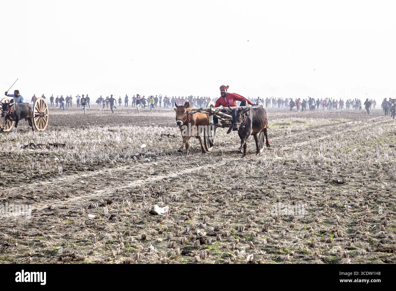 Jhenaidah, Bangladesh - 20 gennaio 2024: La vista di una tradizionale corsa di carri da buco si svolge attraverso l'ampio campo strutturato, i toni terrosi contrastano con l'abbigliamento vivace dei partecipanti. Foto Stock
