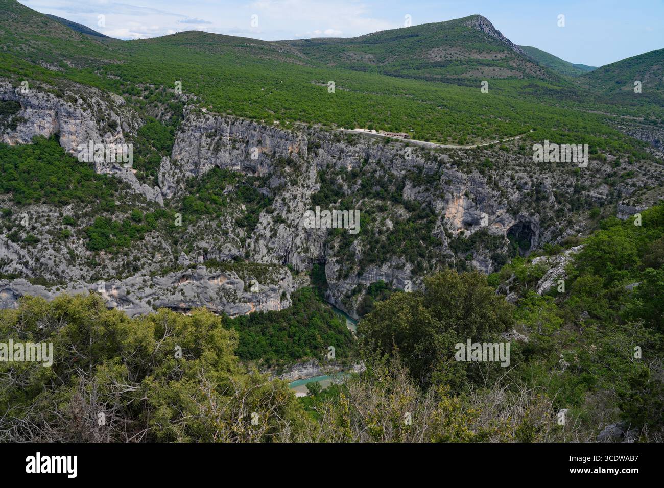 Splendida vista sul fiume Verdon nella zona delle Gorges du Verdon, un canyon, nel sud della Francia Foto Stock