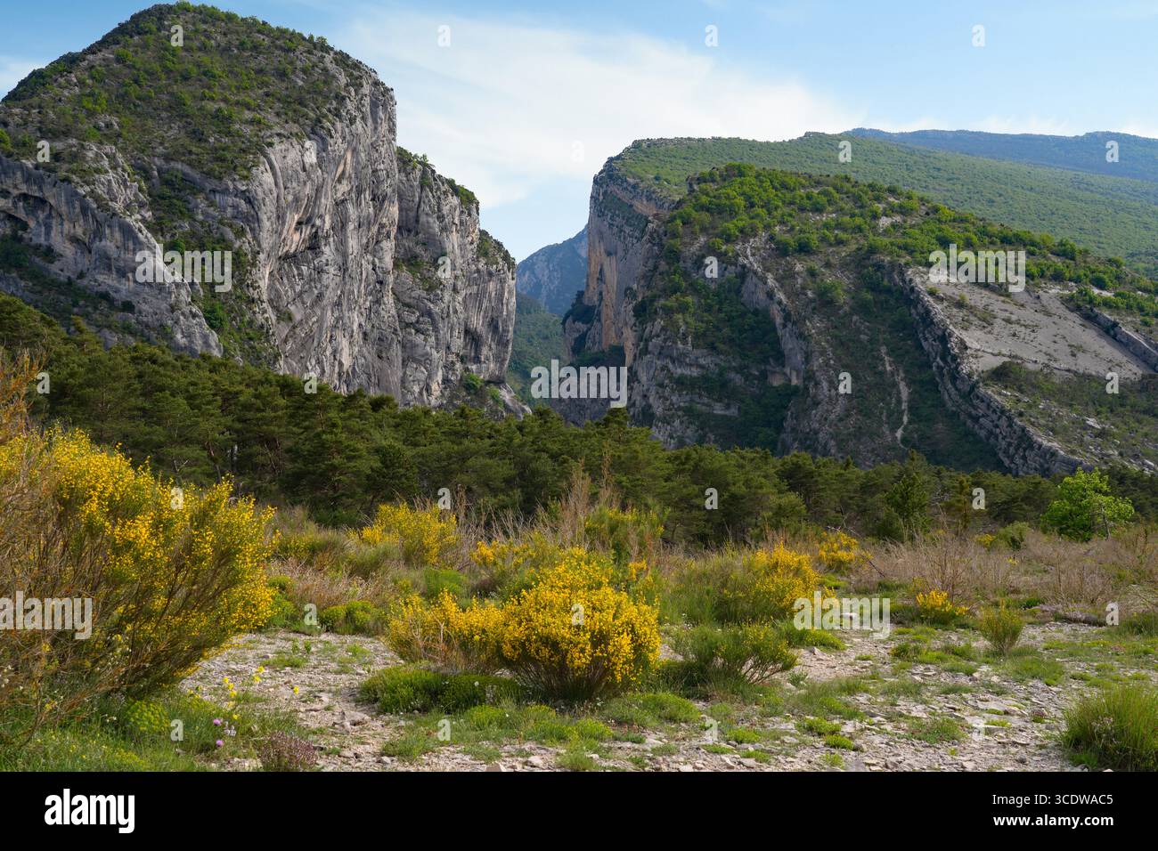 Splendida vista sul fiume Verdon nella zona delle Gorges du Verdon, un canyon, nel sud della Francia Foto Stock