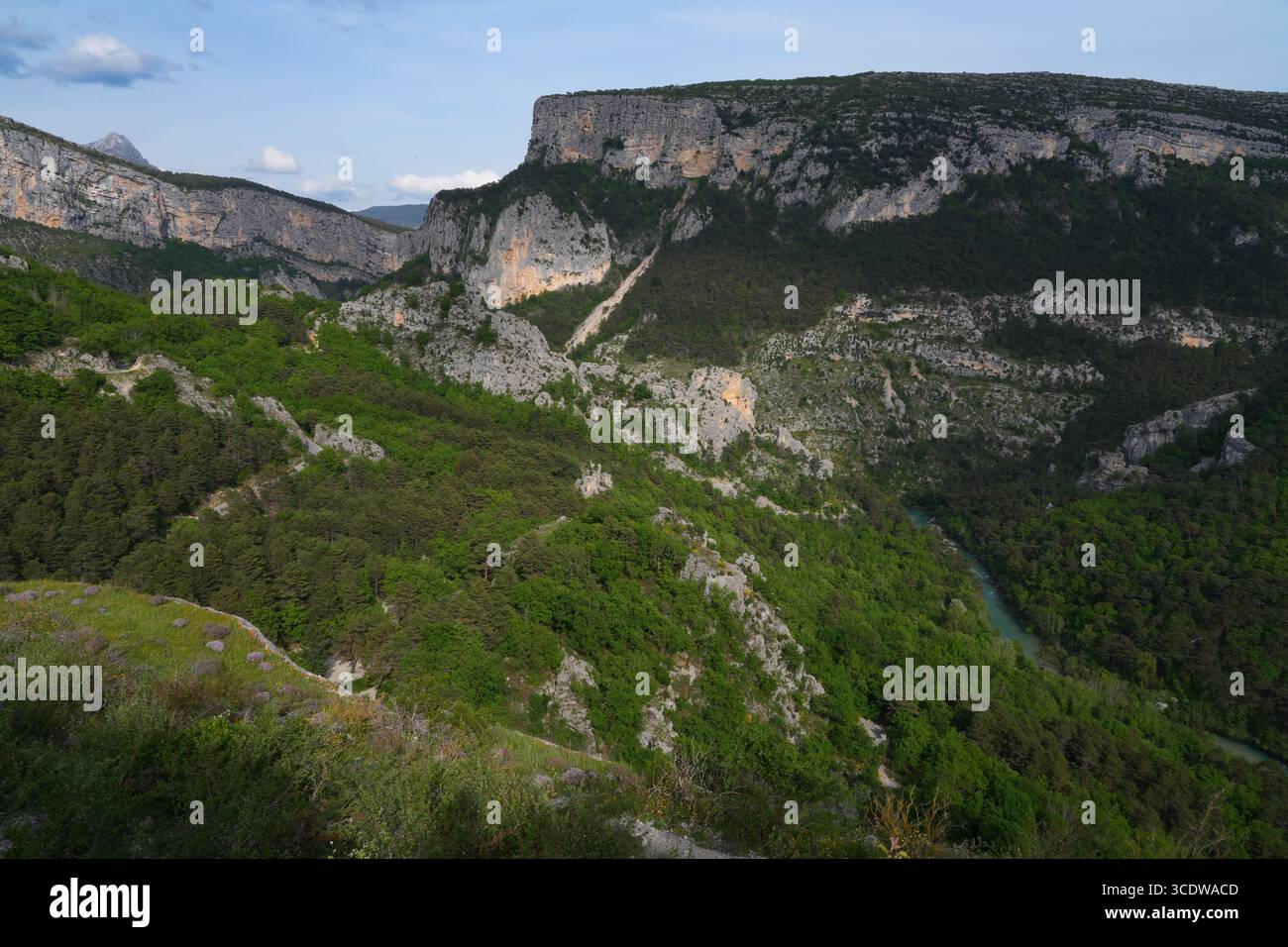 Splendida vista sul fiume Verdon nella zona delle Gorges du Verdon, un canyon, nel sud della Francia Foto Stock