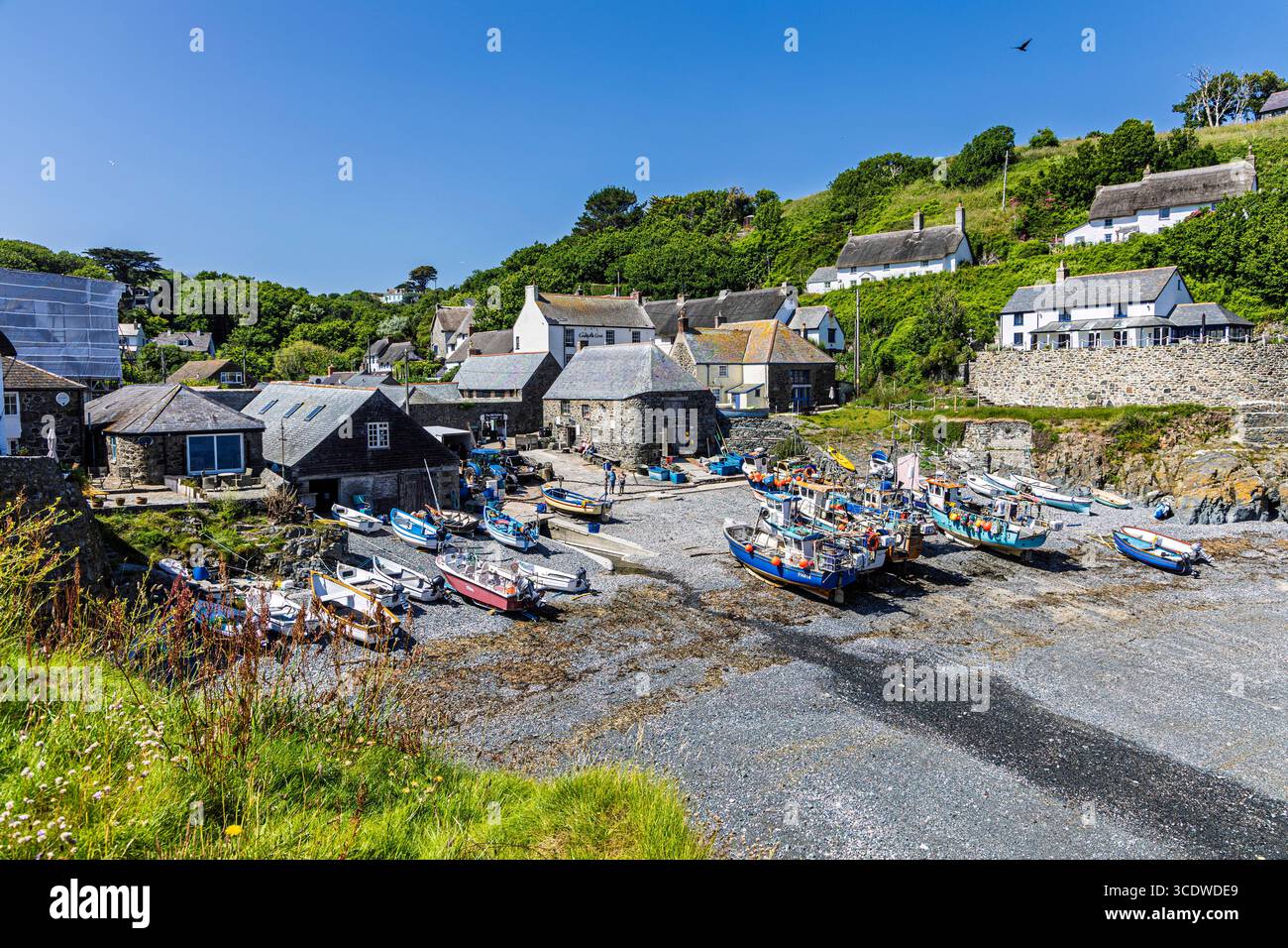 I Crabbers si sono rialzati sulla spiaggia di Cadgwith Cove in Cornovaglia, i pescherecci costieri sono trasportati sopra il segno dell'alta marea per proteggerli Foto Stock