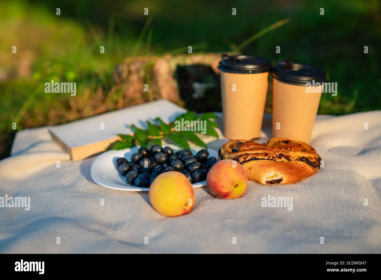 Piatto di mirtilli freschi, pesche mature, bicchieri, un libro e dolci preparati su una coperta beige, creando un'accogliente natura morta estiva all'aperto Foto Stock