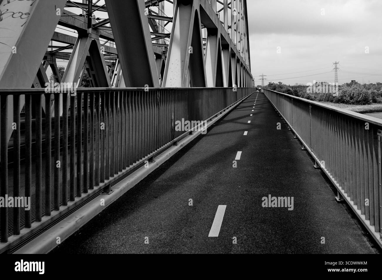 Vista monocromatica di una pista ciclabile accanto a un ponte ferroviario in acciaio nei Paesi Bassi, con linee convergenti che creano una forte prospettiva di trasporto. Foto Stock
