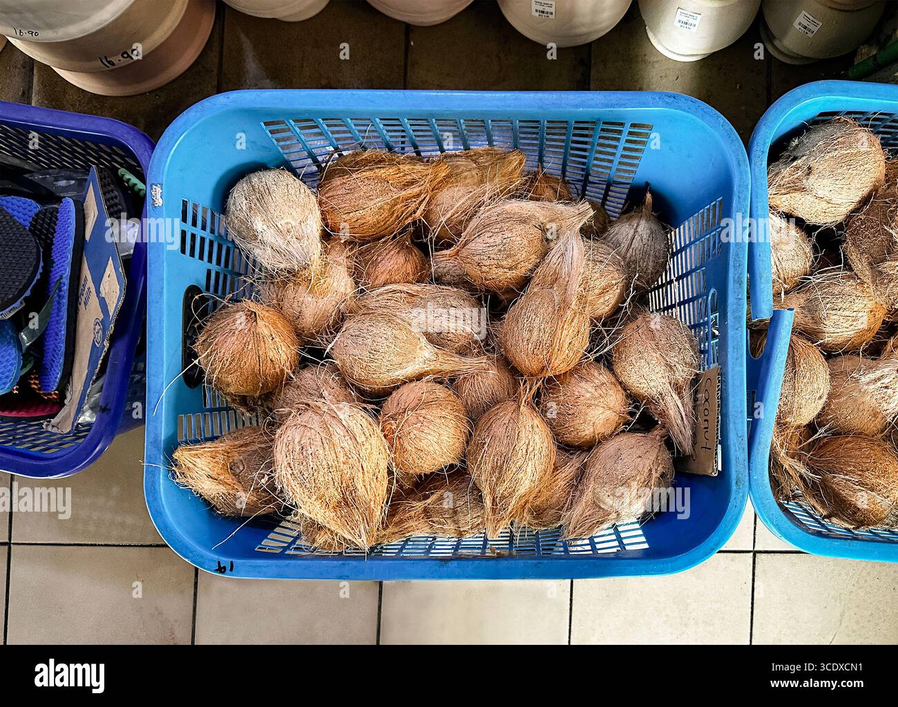 Cestino di plastica blu al mercato pieno di più noci di cocco su un pavimento piastrellato di un negozio visto dall'alto di kuala lumpur, malesia Foto Stock