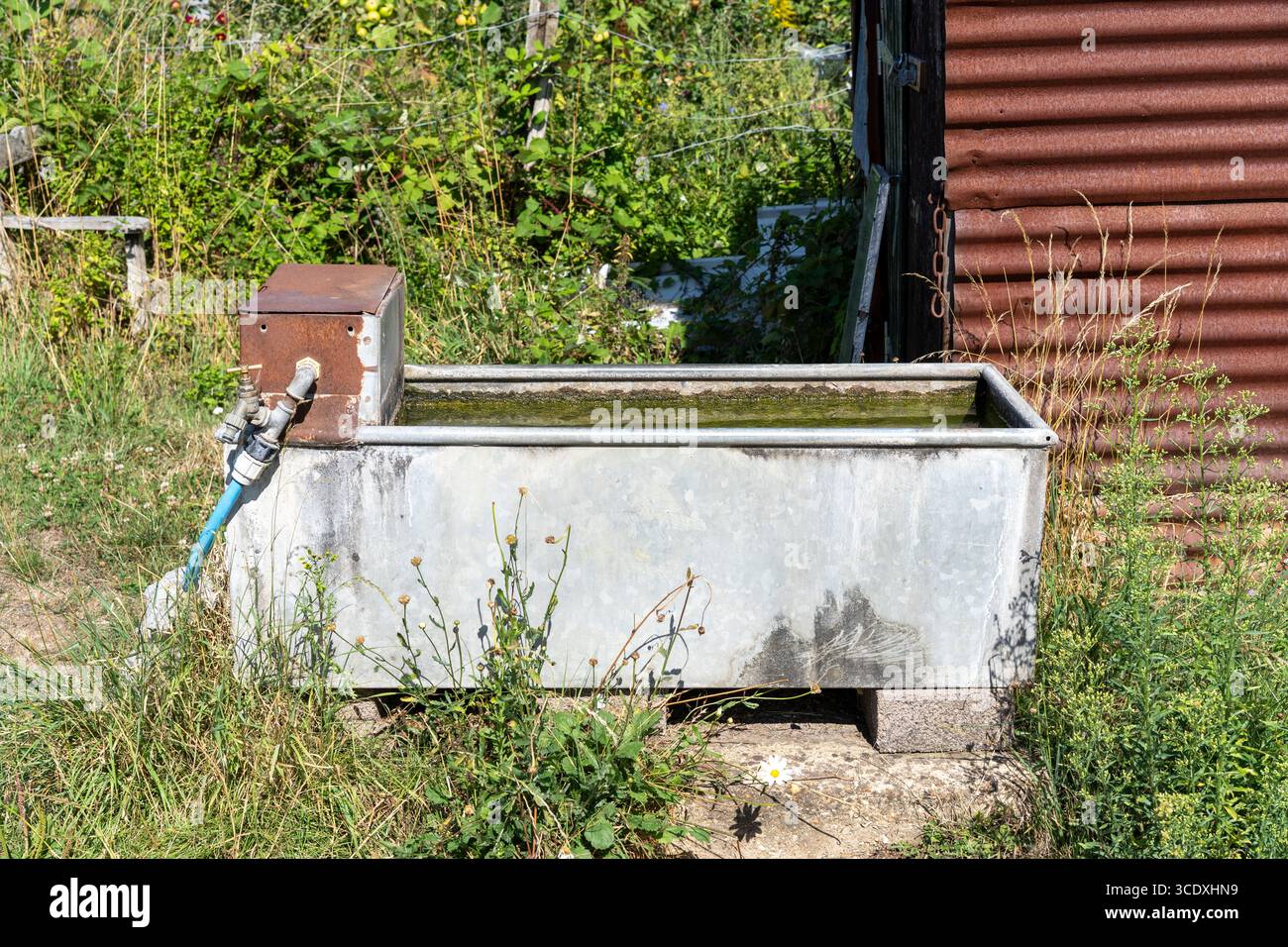 Vaschetta per la conservazione dell'acqua di ferro galvanizzata Foto Stock