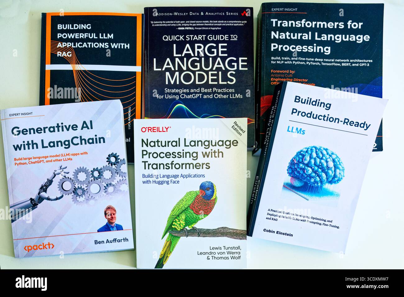 Raccolta completa di libri sull'intelligenza artificiale, tra cui guide a modelli linguistici di grandi dimensioni, applicazioni RAG, trasformatori e sistemi di IA di produzione Foto Stock