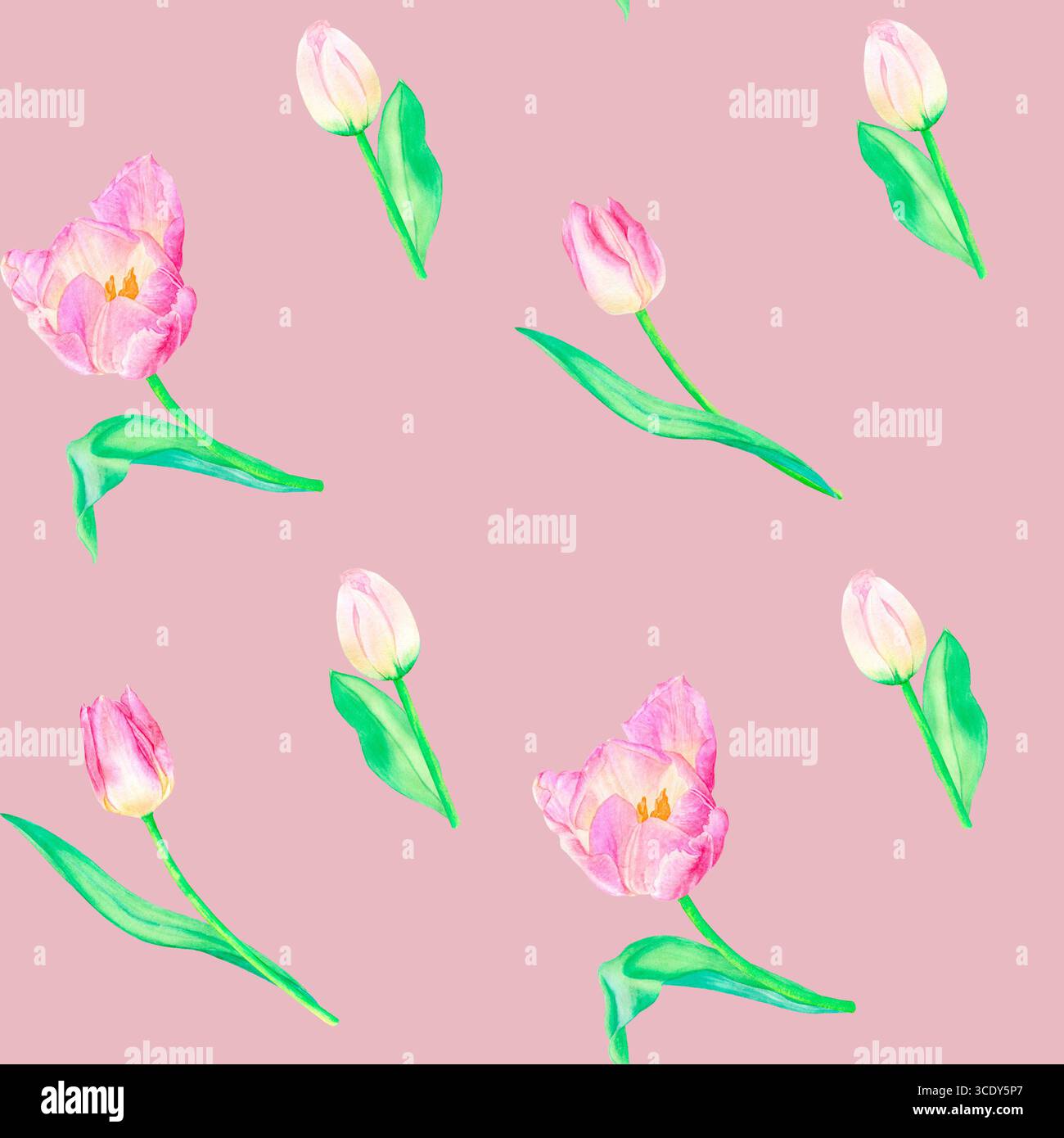 Tulipani acquerelli motivo senza cuciture, fiori primaverili disegnati a mano. Adatto per la progettazione, la stampa. Foto Stock