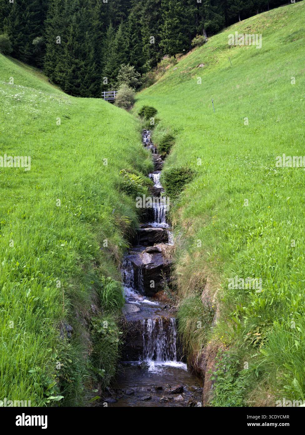 Prato alpino con ruscello di montagna in alto Adige. Foto Stock