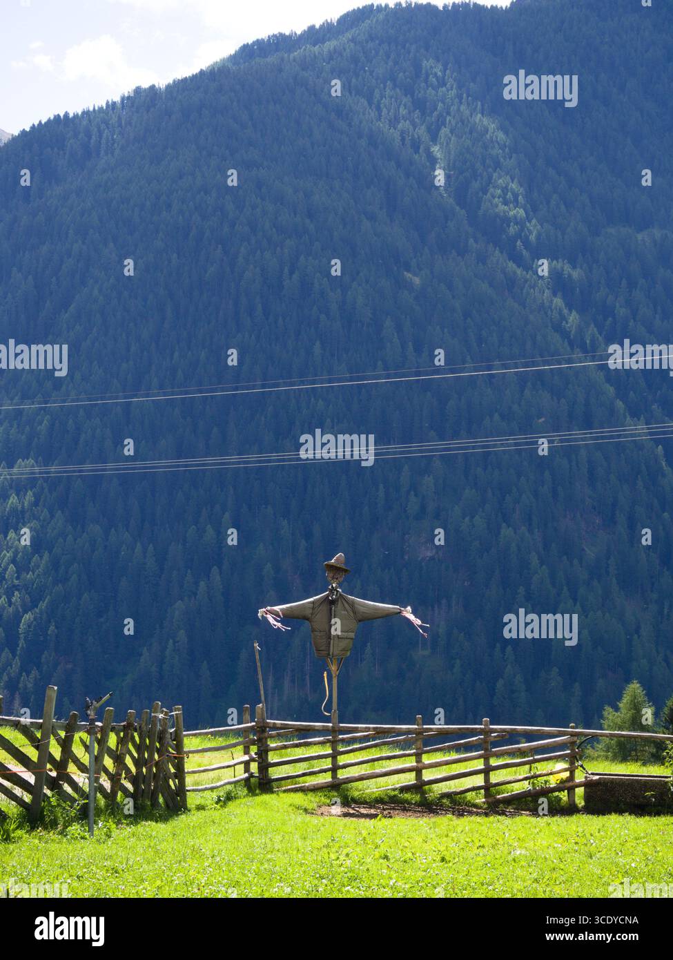 Lo Spaventapasseri si erge in un campo di montagna con recinzione in legno, scena rustica del raccolto della campagna. Foto Stock