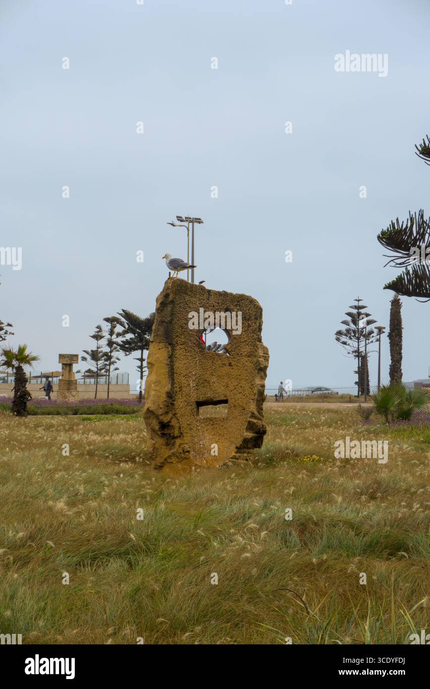 Gabbiano arroccato su una rovina circondata dall'erba di Essaouira, appena fuori le mura della fortezza Foto Stock