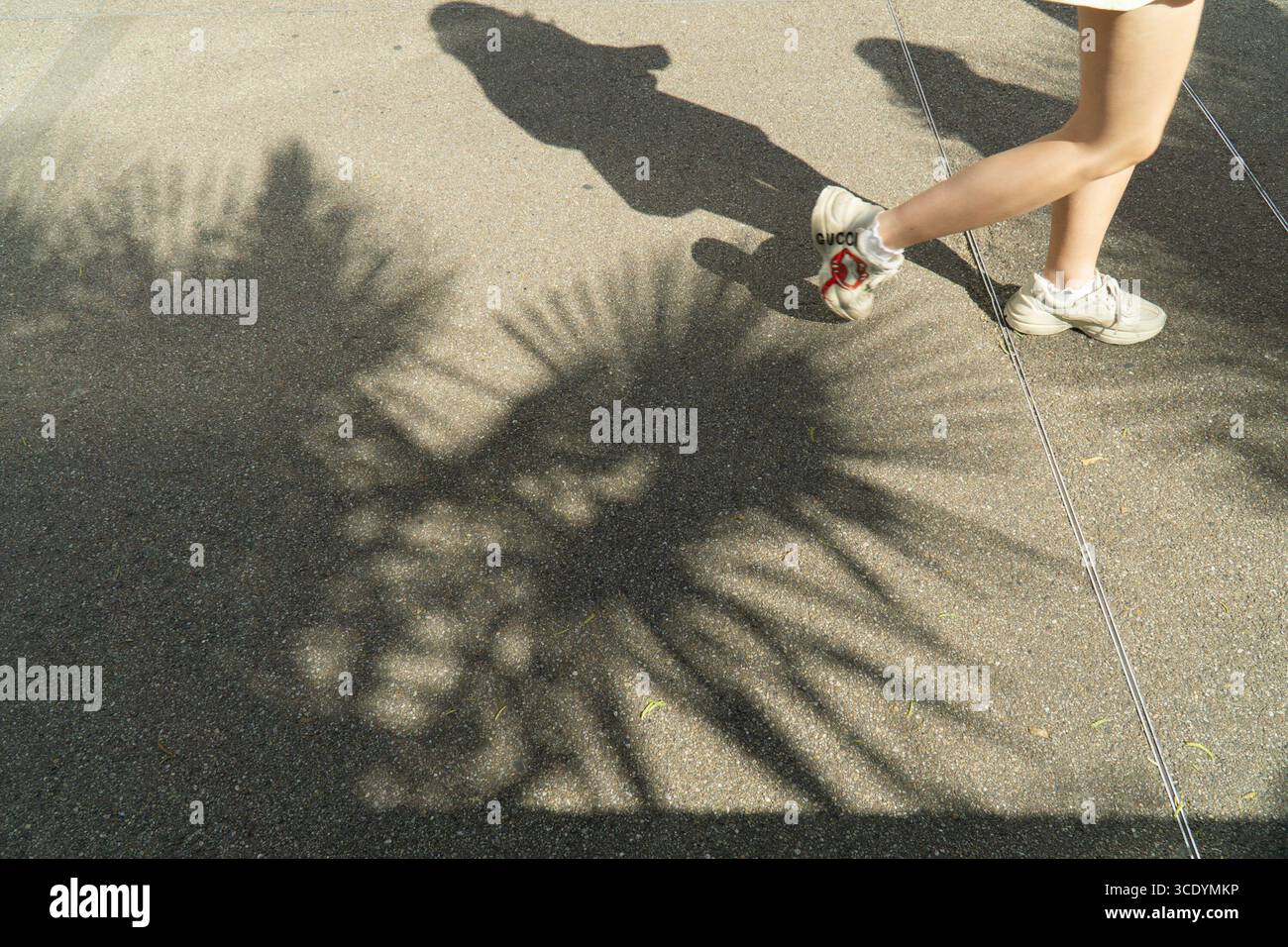 Meteo nel Regno Unito, 14 agosto 2025: Quando le temperature nel centro di Londra raggiunsero di nuovo i 27 gradi, le persone che camminavano nei giardini del St Thomas's Hospital gettavano le proprie ombre tra le ombre delle palme che crescevano lì. Crediti: Anna Watson/Alamy Live News Foto Stock