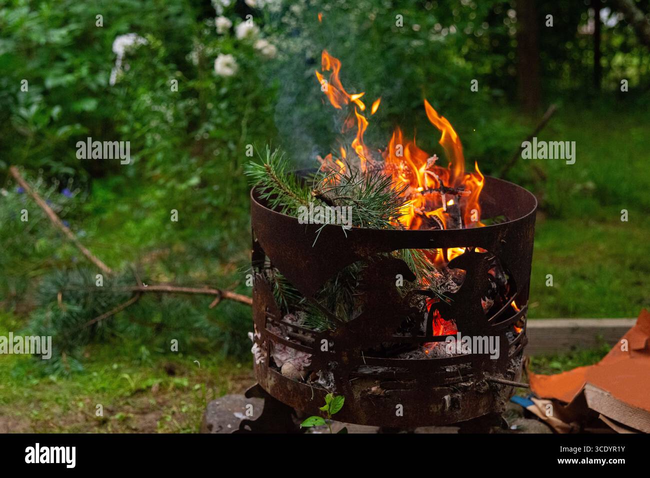 Un ambiente accogliente sul retro con un caminetto in metallo con fiamme brillanti. i rami di pino si infrangono mentre bruciano, circondati da un lussureggiante fogliame verde, creando Foto Stock
