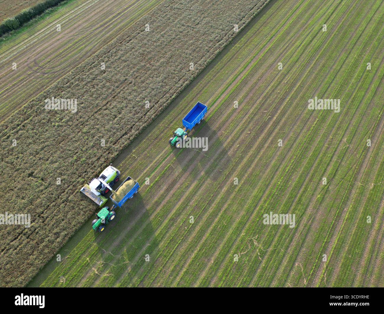Raccolta delle colture alla luce del sole serale a Galloway Scozia Regno Unito nell'agosto 2025 Foto Stock