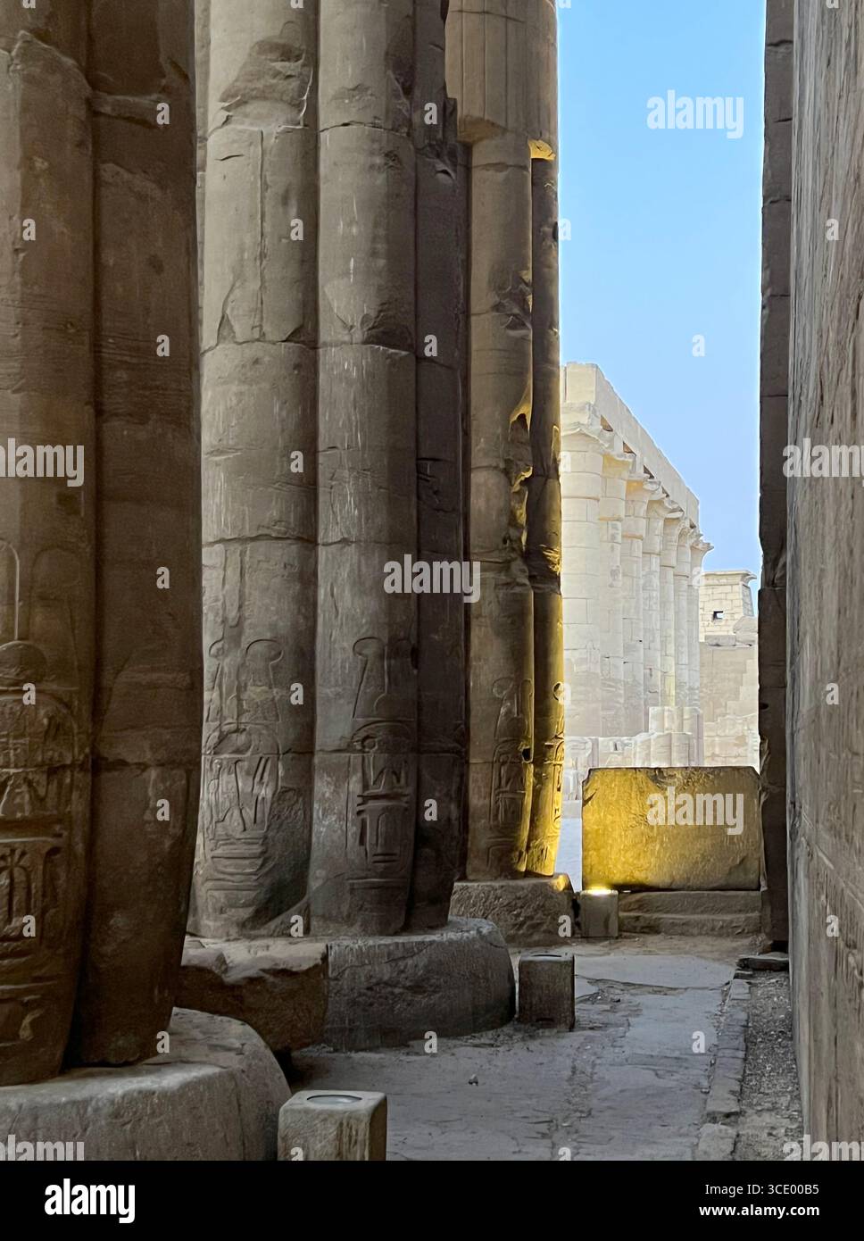 Arte egizia antica: Colonne colossali al Tempio di Luxor Foto Stock
