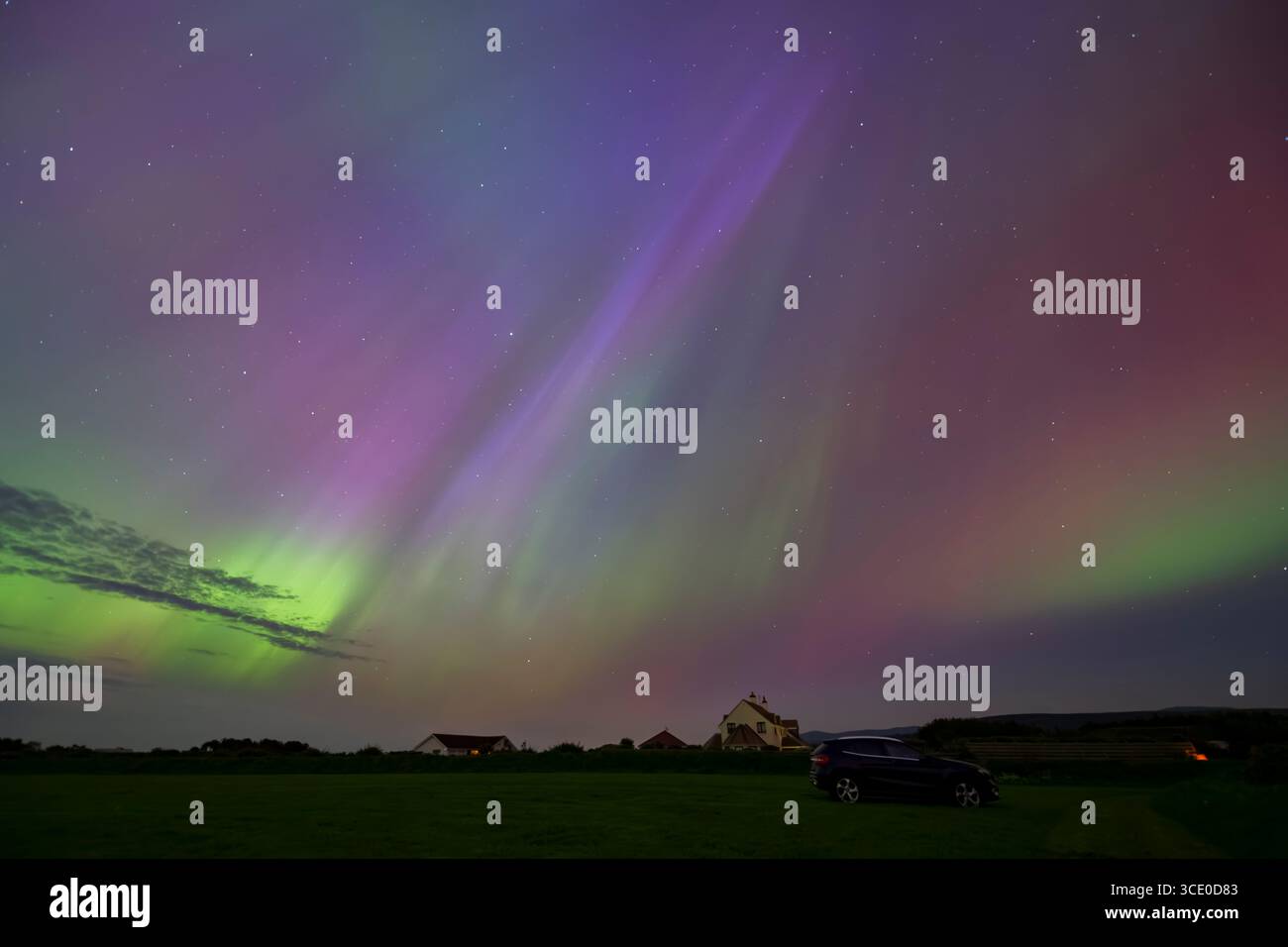Perfetto per collezionisti d'arte, amanti della natura o chiunque voglia portare un tocco di bellezza eterea e colori vivaci nella propria casa, l'Isola di Man. Foto Stock