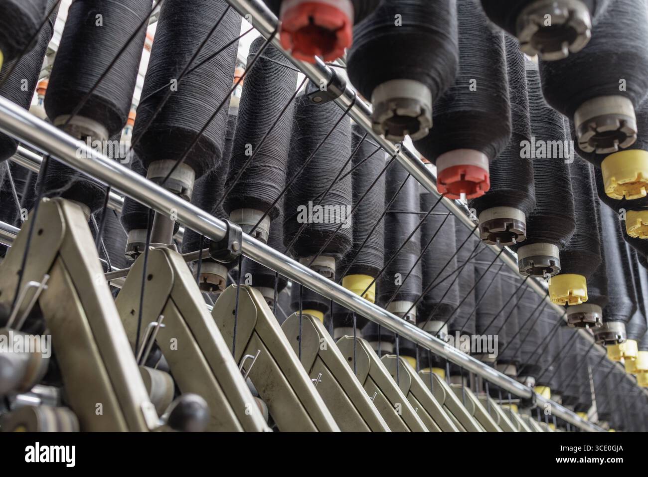 File di coni in filato nero su una linea di filatura automatizzata in una fabbrica tessile, che mostrano attrezzature di produzione e di precisione moderne. Foto Stock