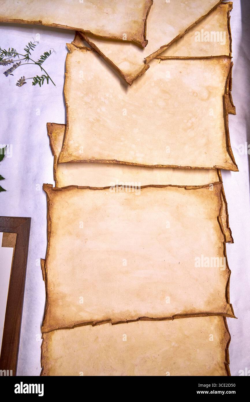 Un progetto erbario creativo che mostra l'intero processo di conservazione e sistemazione dei fiori pressati su carta fatta a mano, dallo stoccaggio in una scatola di legno ad un Foto Stock