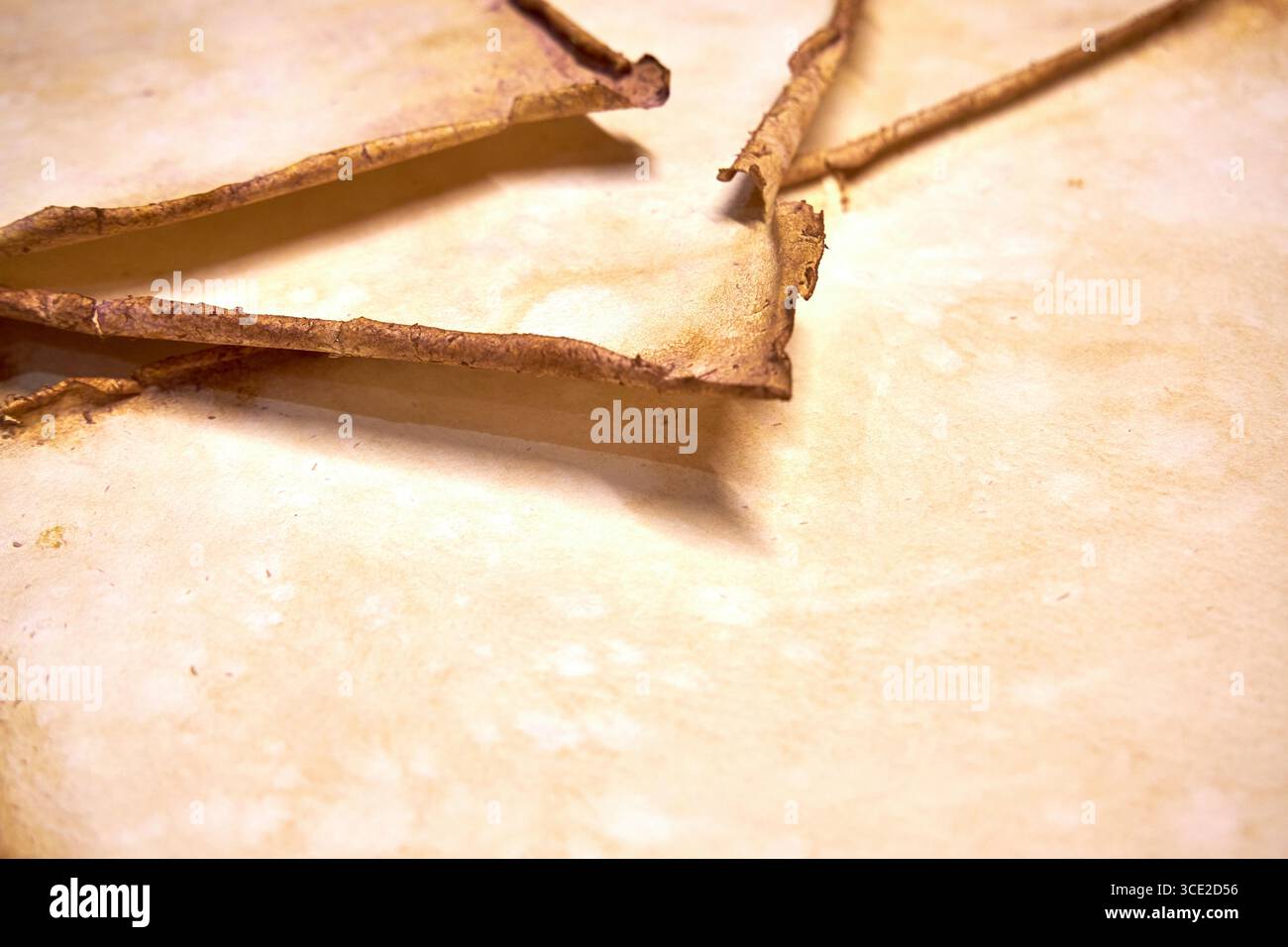 Un progetto erbario creativo che mostra l'intero processo di conservazione e sistemazione dei fiori pressati su carta fatta a mano, dallo stoccaggio in una scatola di legno ad un Foto Stock