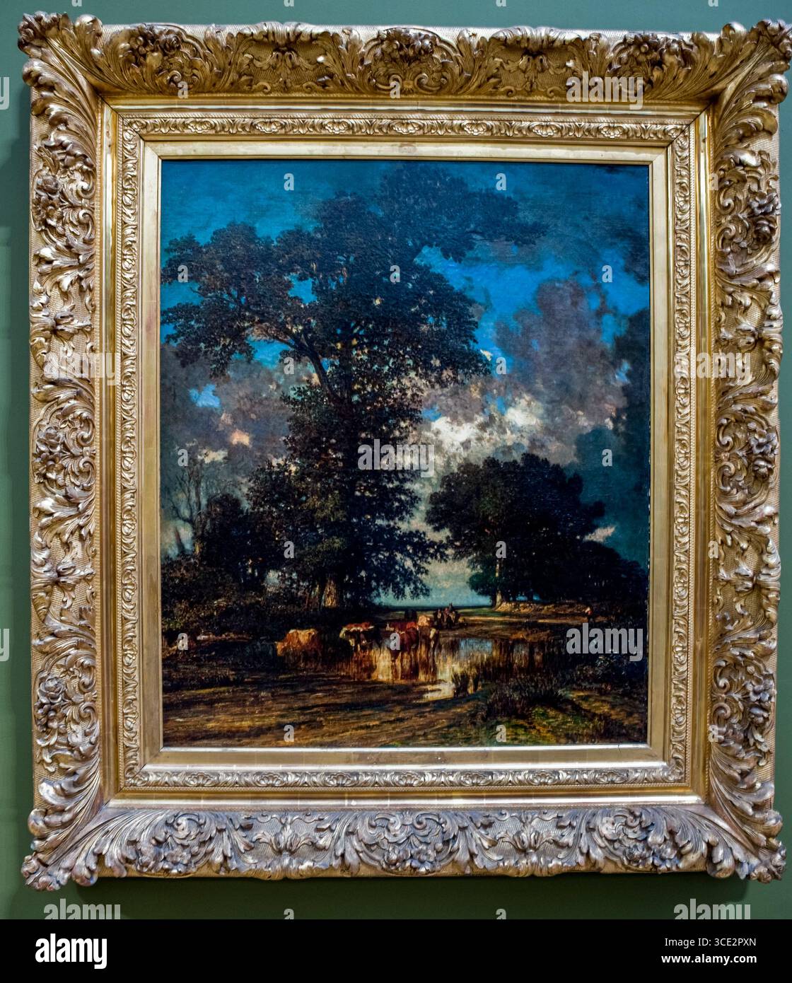 Parigi, Francia, primo piano, Pittura impressionista francese, Jules Dupré, "la Mare aux Chenes" (PS-55335), Museo d'Orsay, paesaggio Foto Stock