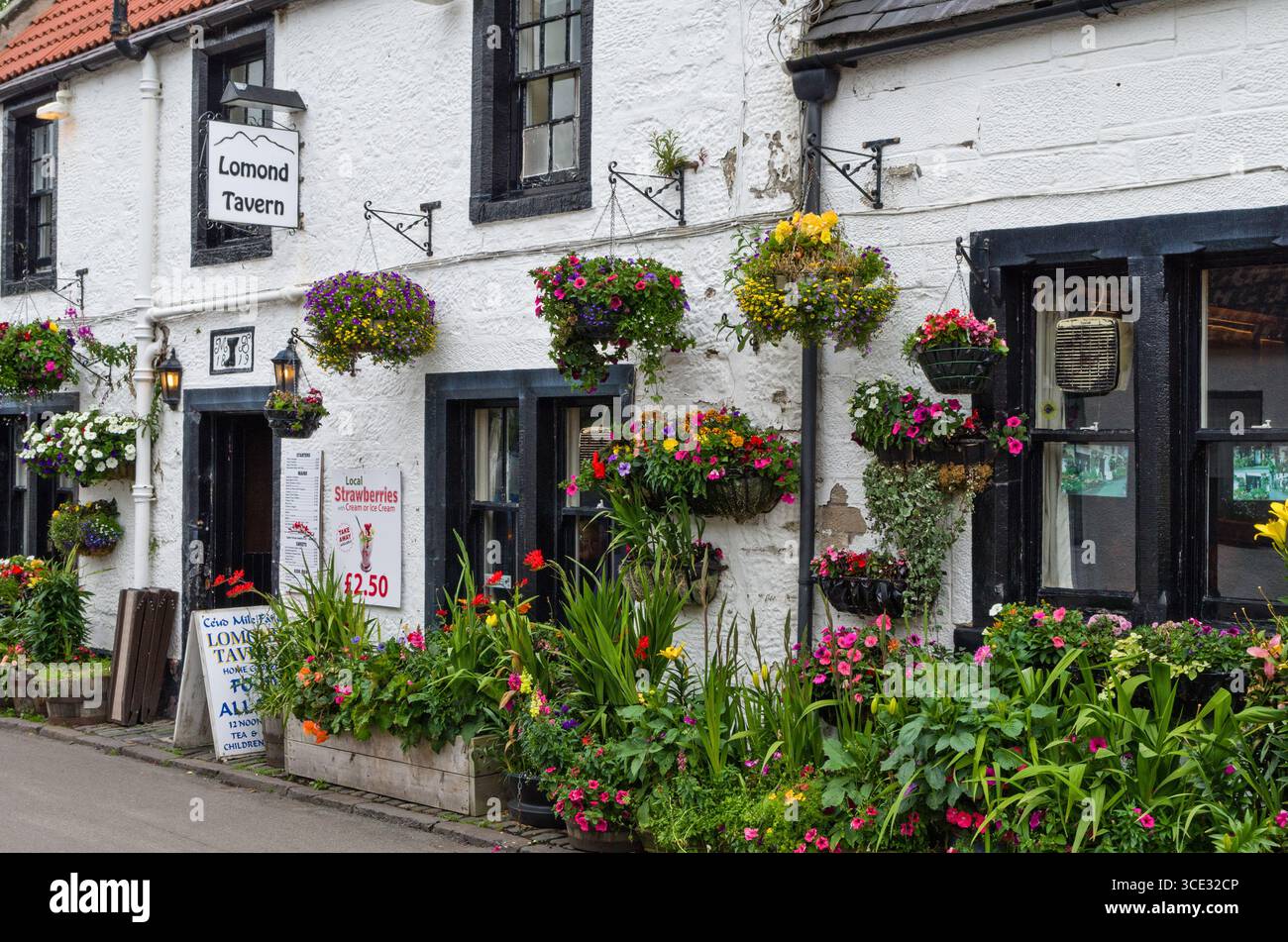 Esterno della Lomond Tavern, un pub tradizionale , a Falkland, Fife, Scozia; con cesti e piantagioni colorati Foto Stock