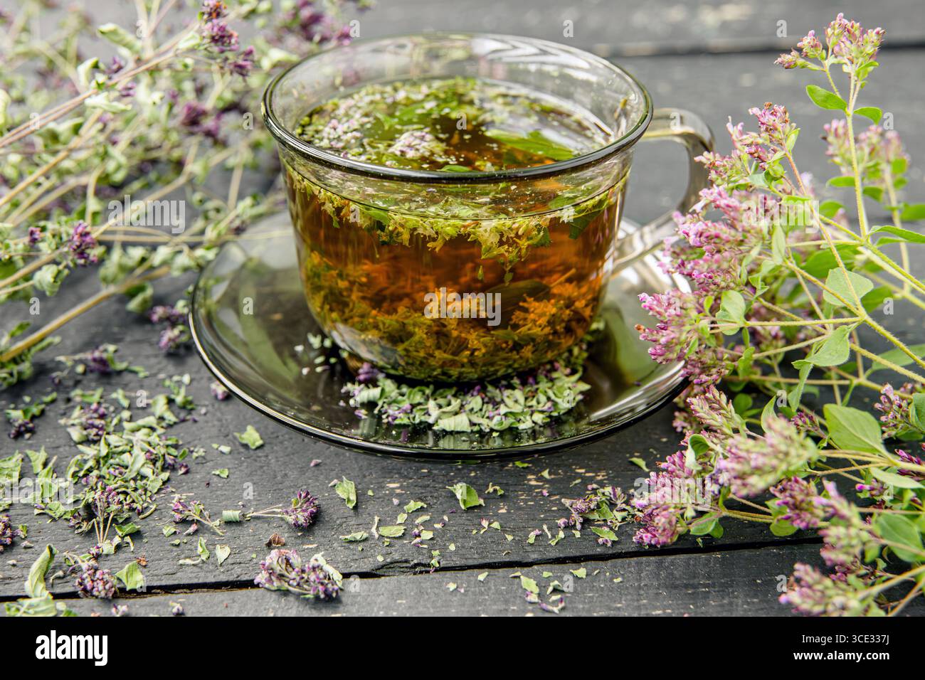 Origano fatto in casa, tè alle erbe all'Origanum vulgare in una tazza da tè. Bevanda calda al vapore con fiori freschi e secchi di origano in fiore, legno di colore nero. Foto Stock