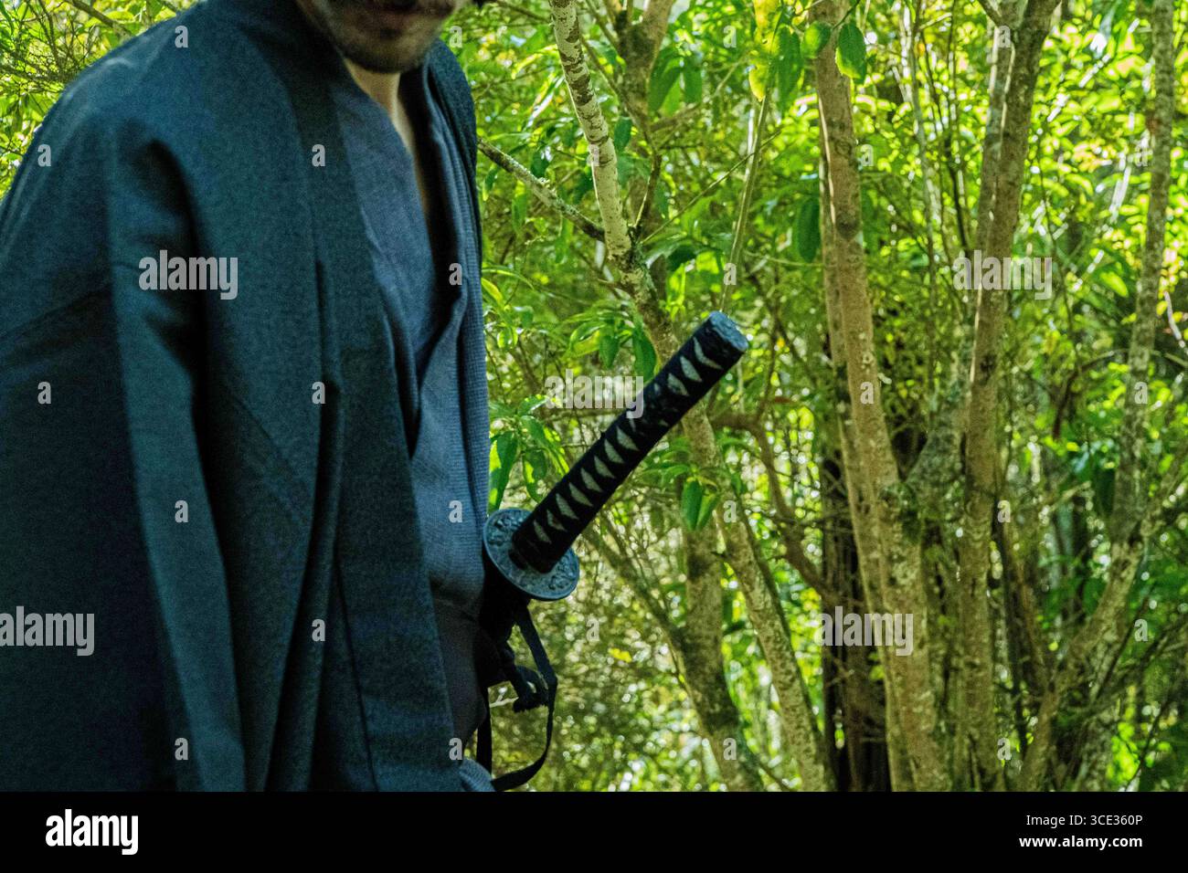 Un samurai in kimono nero sta camminando attraverso la foresta. Foto Stock