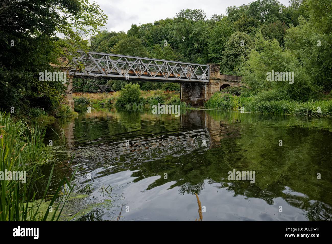 Un ponte attraversa un fiume in una valle boscosa in estate nella Don Gorge, Doncaster, South Yorkshire. Foto Stock