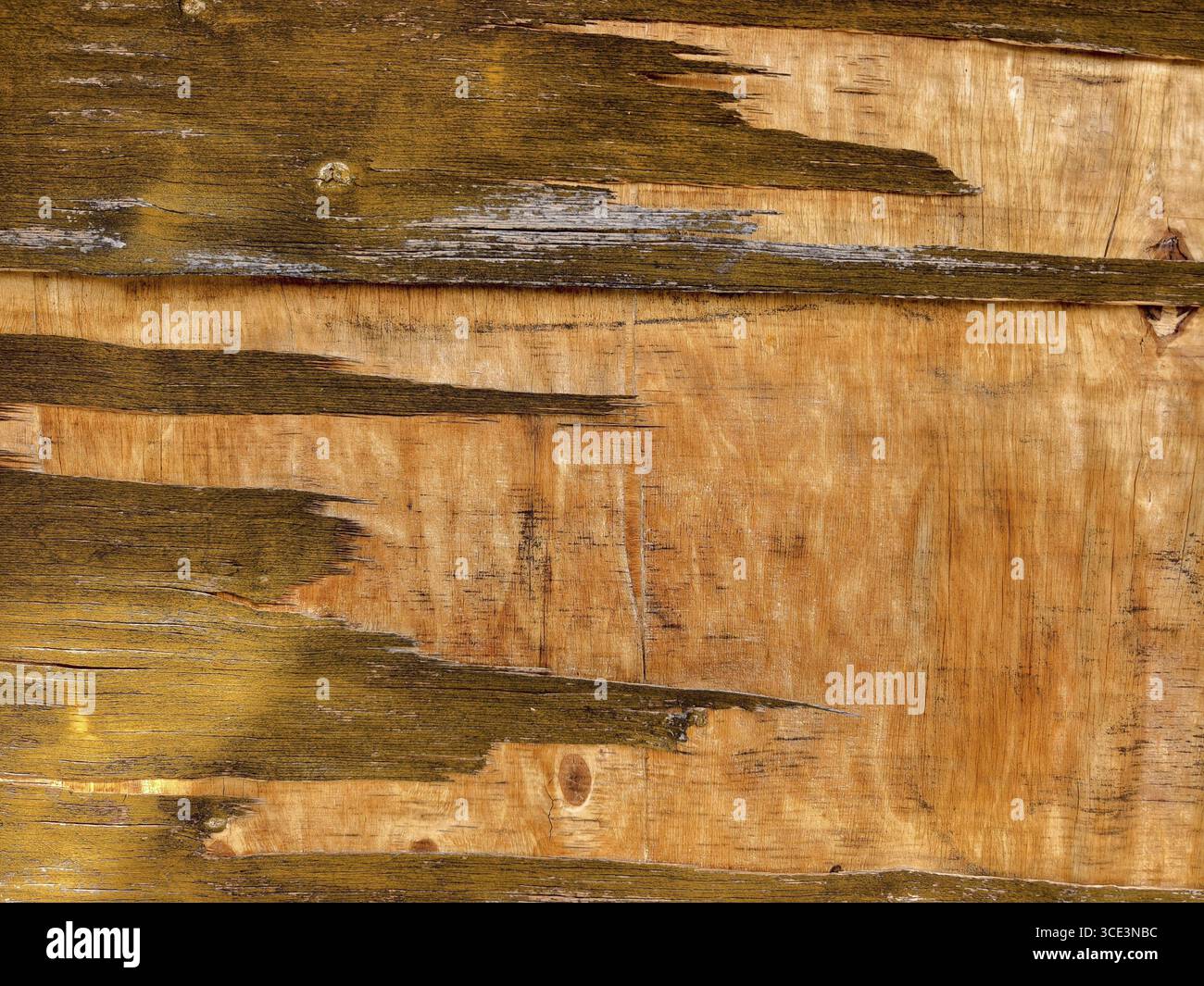 Superficie in legno intemprata con vernice pelante bassa Austria Austria Austria Foto Stock