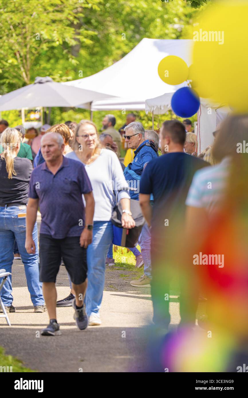 Affollata di visitatori in un mercato con palloncini colorati e tende bianche in condizioni di sole, festival dei mirtilli, Enzkloesterle, Foresta Nera, distretto di C. Foto Stock