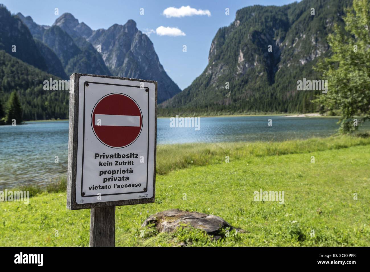 Accesso privato al lago con vista panoramica sulle Alpi Foto Stock