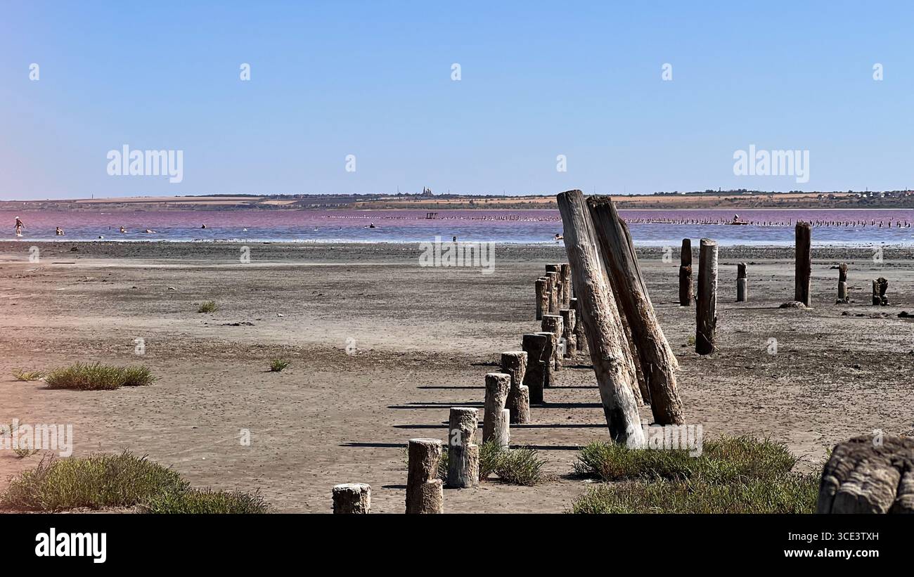 acqua di rose, giorno di sole, lago salato, giorno estivo di sole, località di villeggiatura salina, vecchi pali di legno, vecchio legno Foto Stock