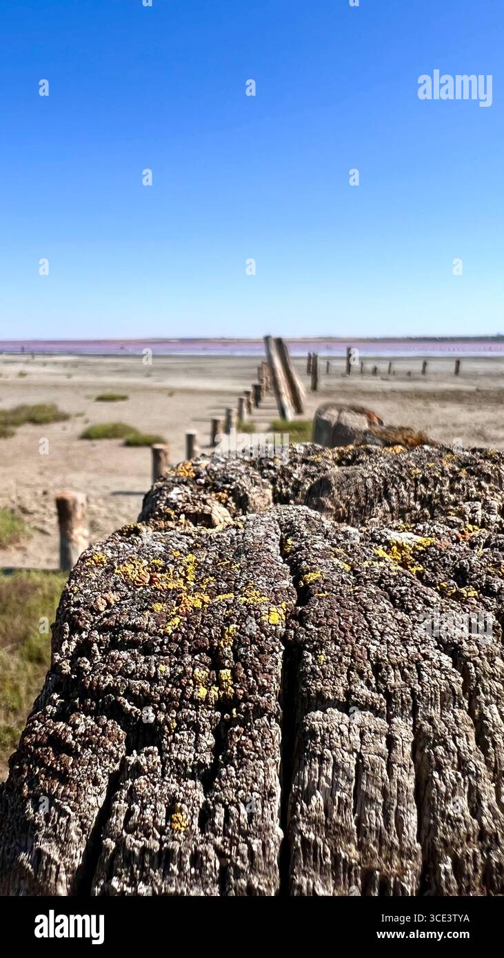 acqua di rose, giorno di sole, lago salato, giorno estivo di sole, località di villeggiatura salina, vecchi pali di legno, vecchio legno Foto Stock