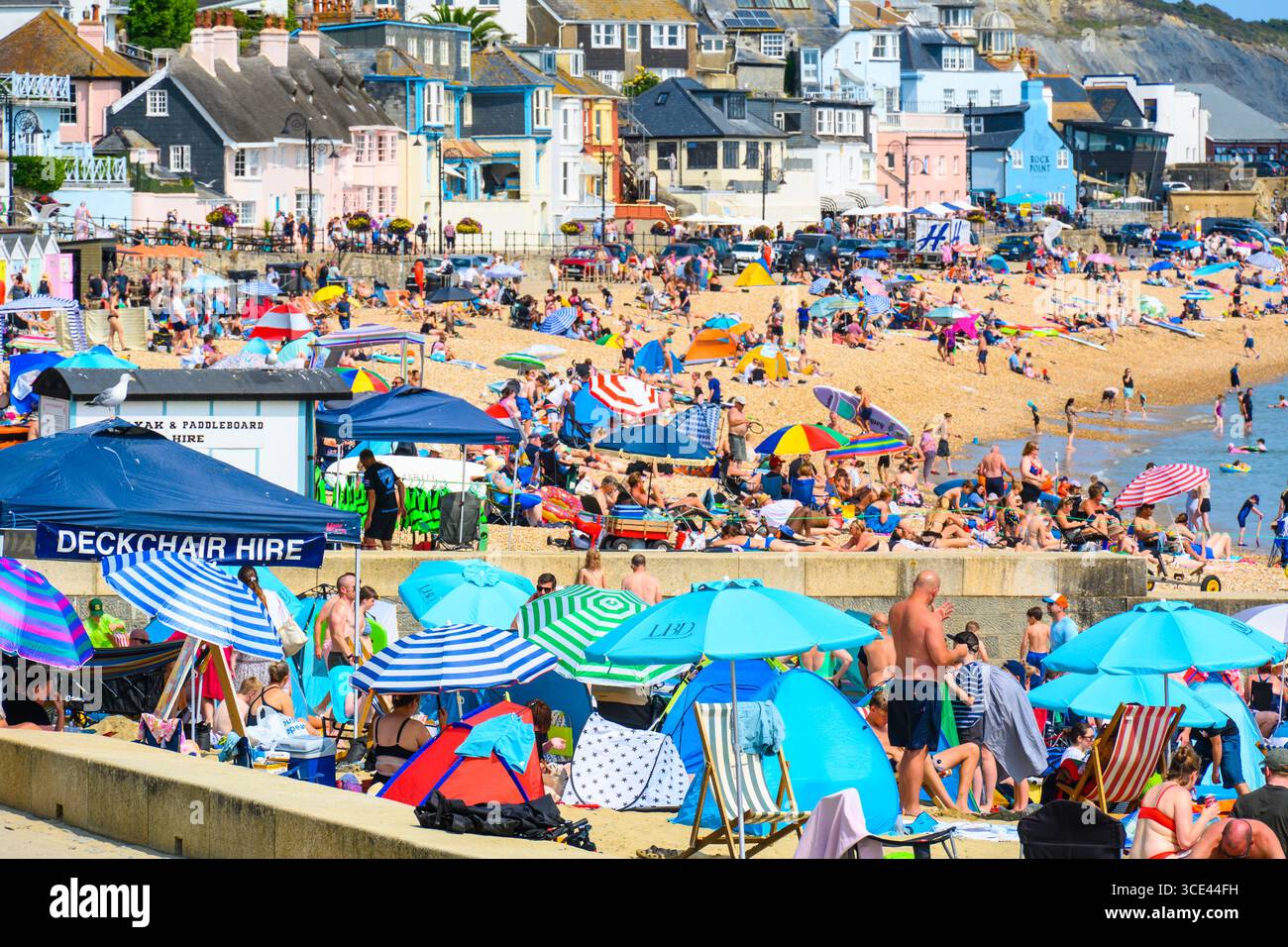 Lyme Regis, Dorset, Regno Unito. 15 agosto 2025. Meteo nel Regno Unito: La spiaggia della località balneare di Lyme Regis è stata costellata di turisti e gente del posto che si è immersa nel caldo sole il venerdì. Crediti: Celia McMahon/Alamy Live News Foto Stock