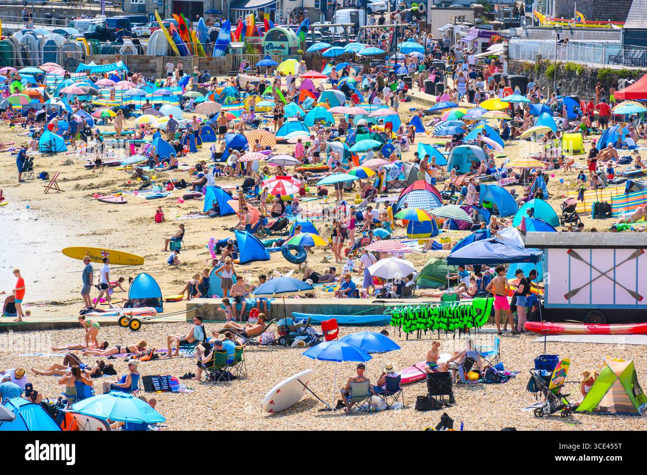 Lyme Regis, Dorset, Regno Unito. 15 agosto 2025. Meteo nel Regno Unito: La spiaggia della località balneare di Lyme Regis è stata costellata di turisti e gente del posto che si è immersa nel caldo sole il venerdì. Crediti: Celia McMahon/Alamy Live News Foto Stock