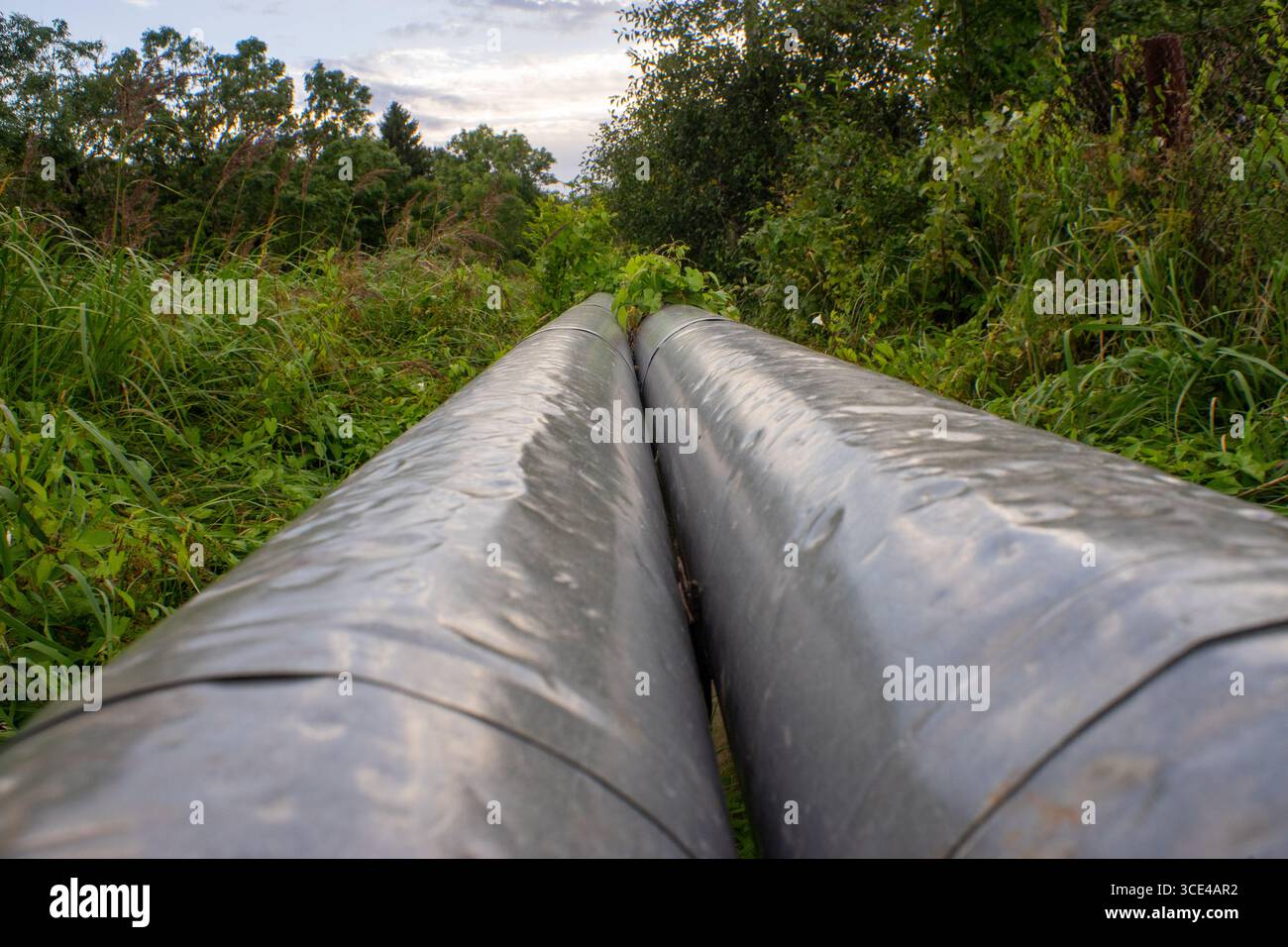 Due tubi di riscaldamento paralleli che attraversano il campo erboso. Foto Stock