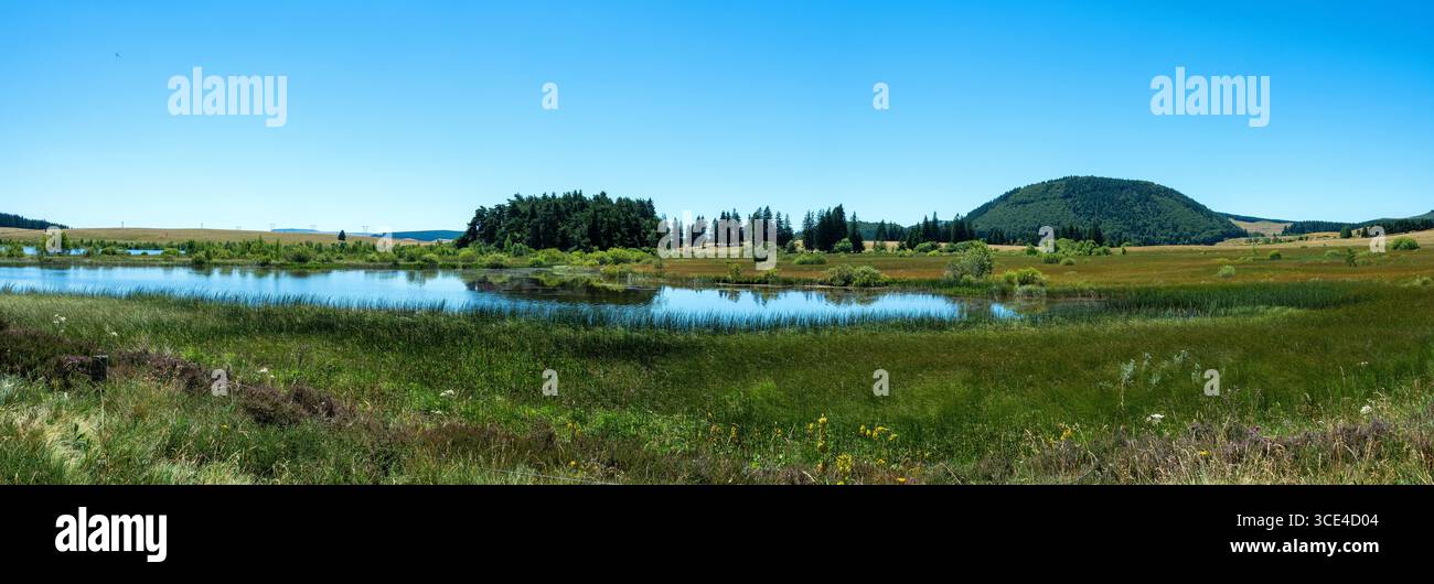 Palude del lago Bourdouze, Parco naturale regionale dei Volcani d'Auvergne, Puy de Dome. Alvernia-Rodano-Alpi . Francia Foto Stock