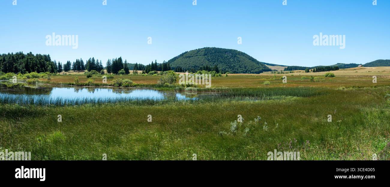 Palude del lago Bourdouze, Parco naturale regionale dei Volcani d'Auvergne, Puy de Dome. Alvernia-Rodano-Alpi . Francia Foto Stock