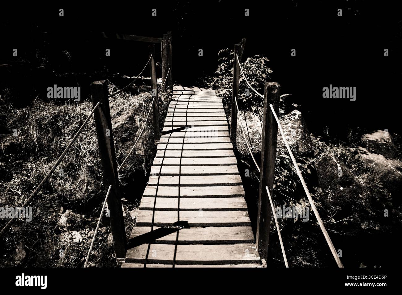 Un ponte in legno rustico collega due aree di terreno in un ambiente boscoso. La luce del sole crea ombre sorprendenti sulle tavole. Cezallier. Auvergne. Francia Foto Stock