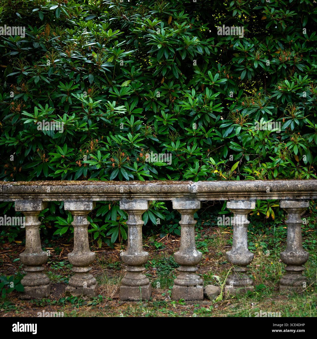 Una balaustra in pietra intemprata delinea un giardino verde, con fitte piante frondose che lo circondano. Foto Stock